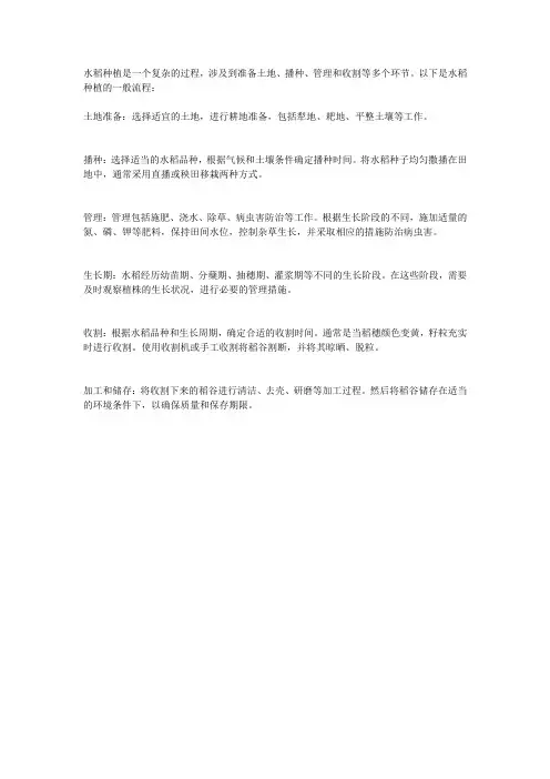 水稻种植流程
