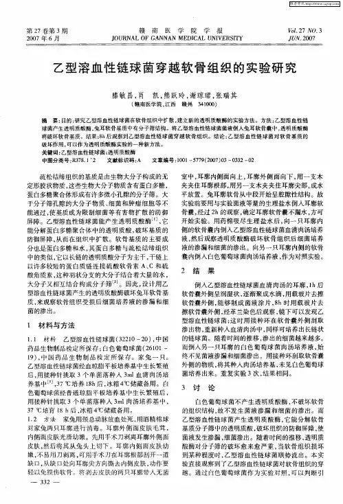 乙型溶血性链球菌穿越软骨组织的实验研究