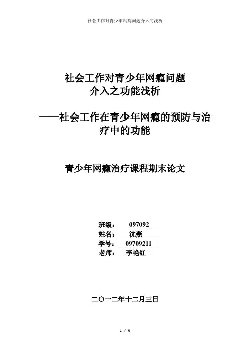 社会工作对青少年网瘾问题介入的浅析