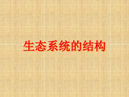 高中生物生态系统的结构、功能、能量流动和物质循环、稳定性课件