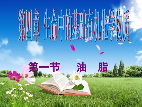 课件_人教版化学选修油脂PPT课件_优秀版