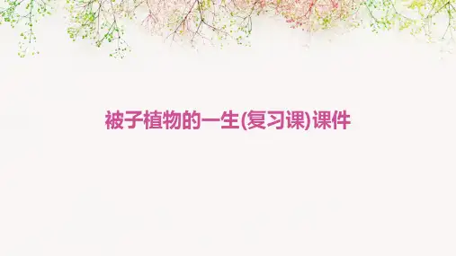 被子植物的一生(复习课)课件