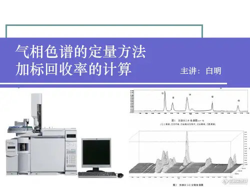 气相色谱定量方法及加标回收率的计算ppt课件