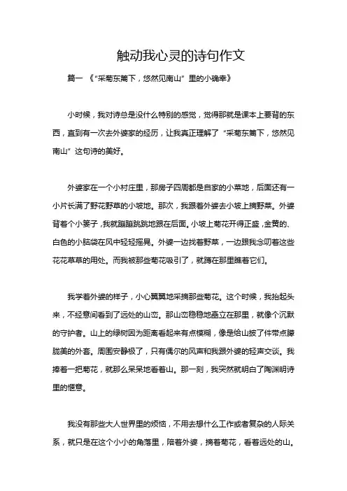 触动我心灵的诗句作文