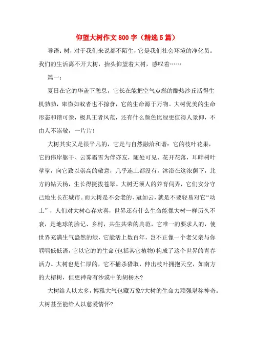 仰望大树作文800字(精选5篇)