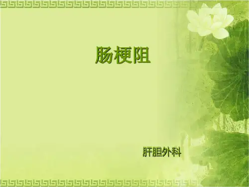 肠梗阻[1]