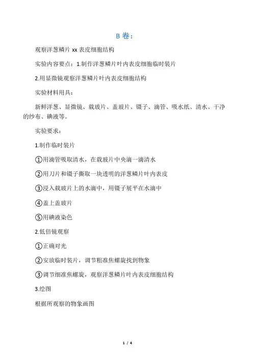 中考生物实验实验报告-洋葱部分