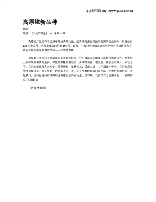 高原鳅新品种