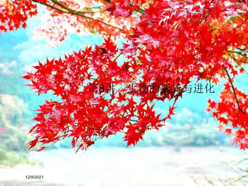 高考生物二轮复习第8讲生物的变异与进化课件高三全册生物课件
