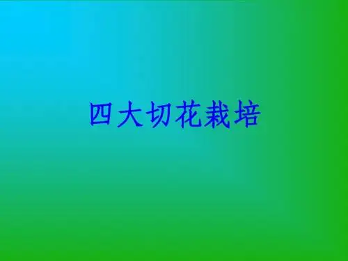 四大切花栽培