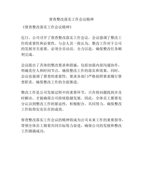 督查整改落实工作会议精神