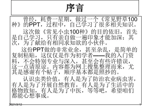 常见小虫100种(1)PPT课件