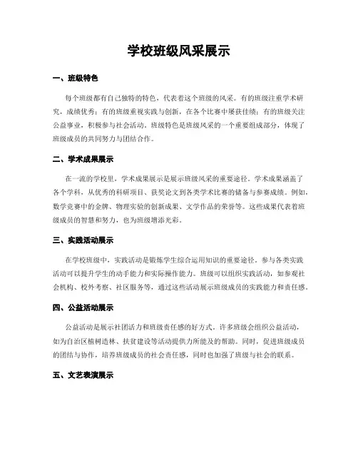学校班级风采展示