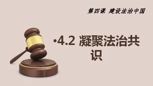 人教版九年级道德与法治上册凝聚法治共识优质PPT