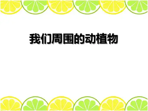 《我们周围的动植物》 完美课件