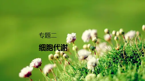 高考二轮复习专题二微专题(二)提高农作物产量的措施课件(22张)