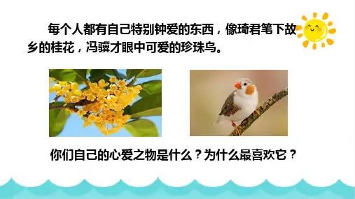 部编版语文五年级上册第一单元《习作：我的心爱之物》课件(共14张PPT)