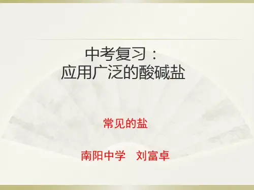 沪教版九年级下册化学《第3节 几种重要的盐》课件公开课 (10)