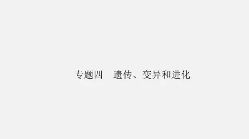 高考生物 二轮复习 专题四 遗传、变异和进化 4.1 遗传、变异和进化