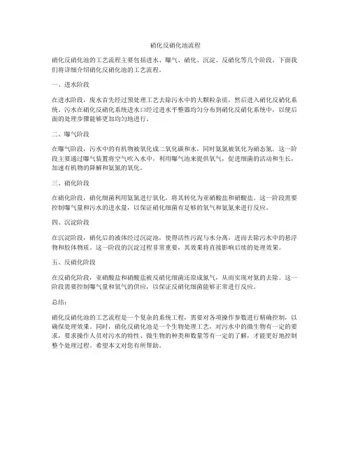 硝化反硝化池流程