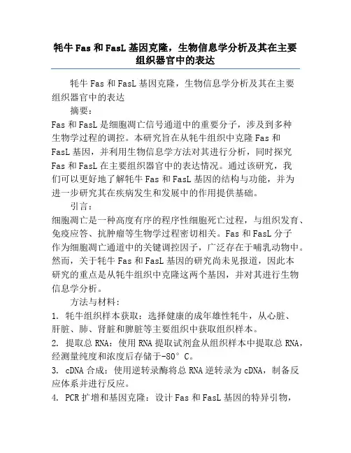 牦牛Fas和FasL基因克隆,生物信息学分析及其在主要组织器官中的表达