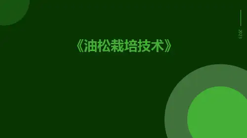 油松栽培技术
