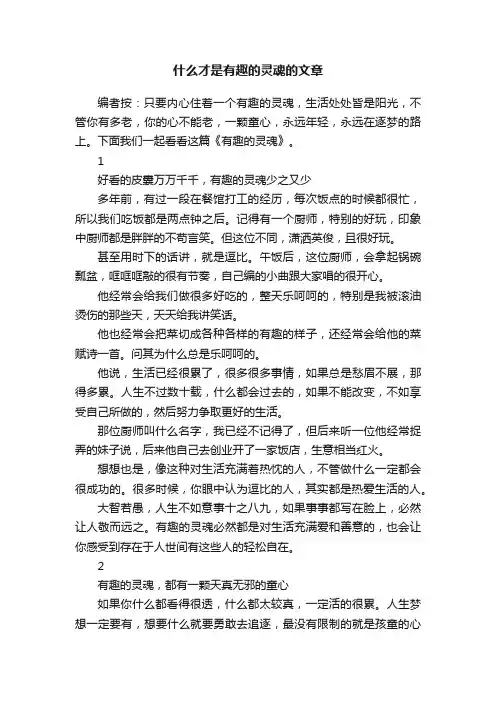 什么才是有趣的灵魂的文章