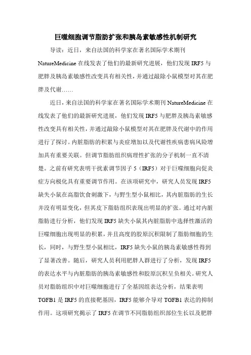 巨噬细胞调节脂肪扩张和胰岛素敏感性机制研究