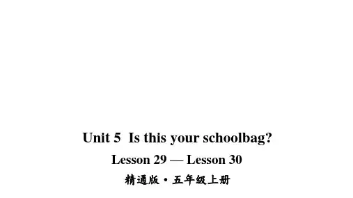 人教精通版五年级上册英语Unit 5 Is this your school bag Lesson 29-Lesson 30课件