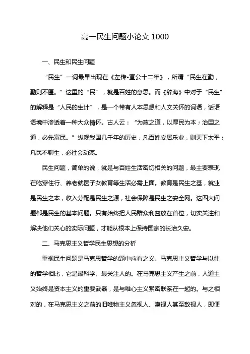 高一民生问题小论文1000