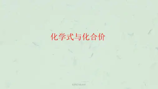 化学式与化合价课件