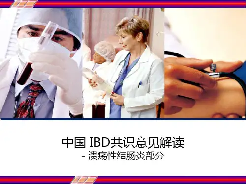中国 IBD共识意见解读 溃疡性结肠炎部分 PPT
