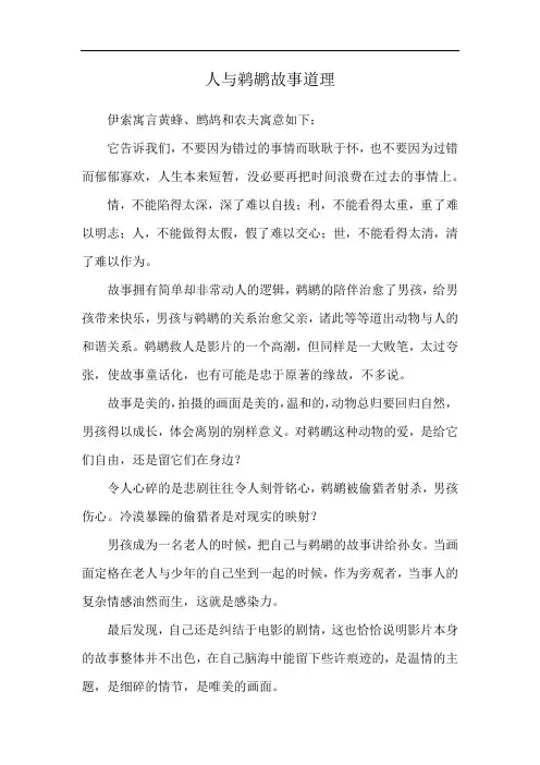 人与鹈鹕故事道理