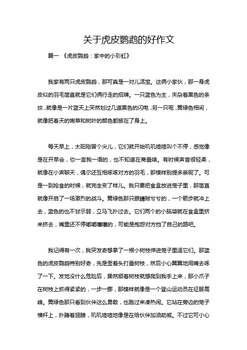 关于虎皮鹦鹉的好作文