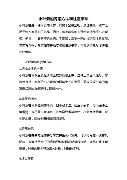小叶紫檀养殖方法和注意事项