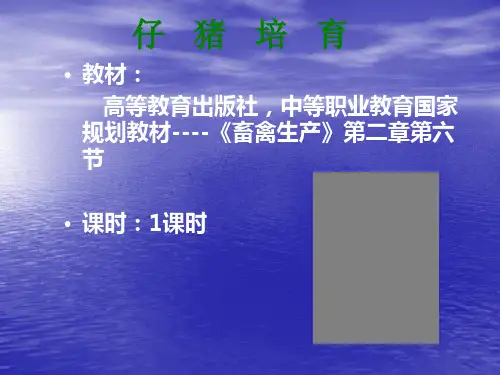 仔猪培育课件