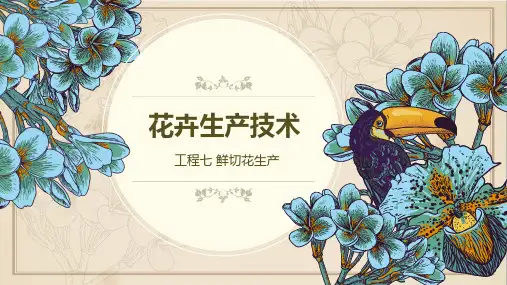 《花卉生产技术》教学课件 项目七 鲜切花生产