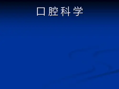 口腔颌面部解剖生理