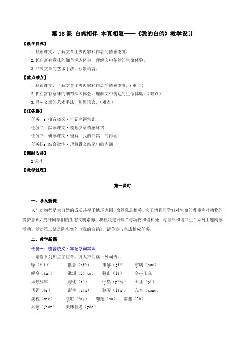 第18课《我的白鸽》教学设计