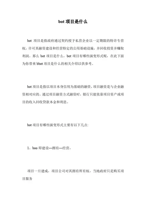 bot项目是什么.doc