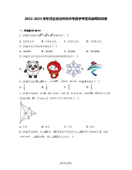 2022-2023学年河北省沧州市中考数学专项突破模拟试卷(含解析)