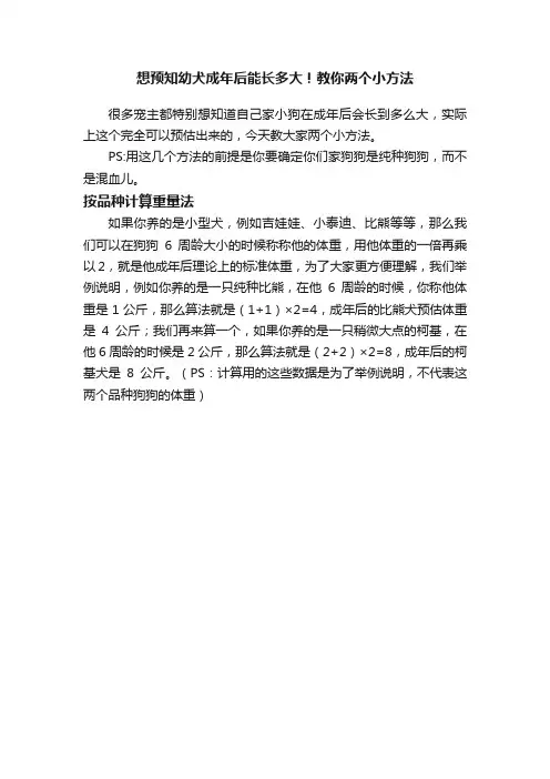 想预知幼犬成年后能长多大！教你两个小方法