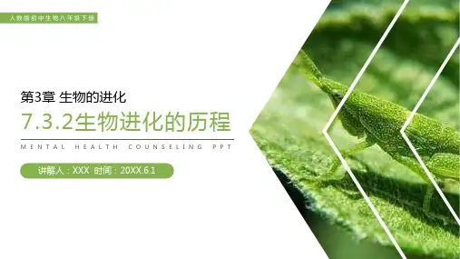 《生物进化的历程》人教版初中生物八年级初二下册PPT课件