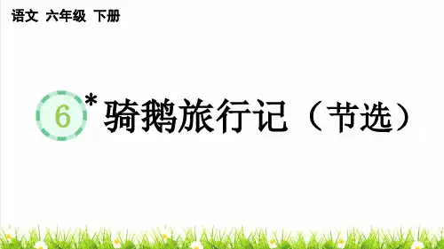 部编版六年级语文下册第二单元第6课《骑鹅旅行记(节选)》教学课件