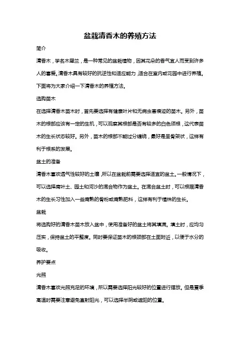 盆栽清香木的养殖方法