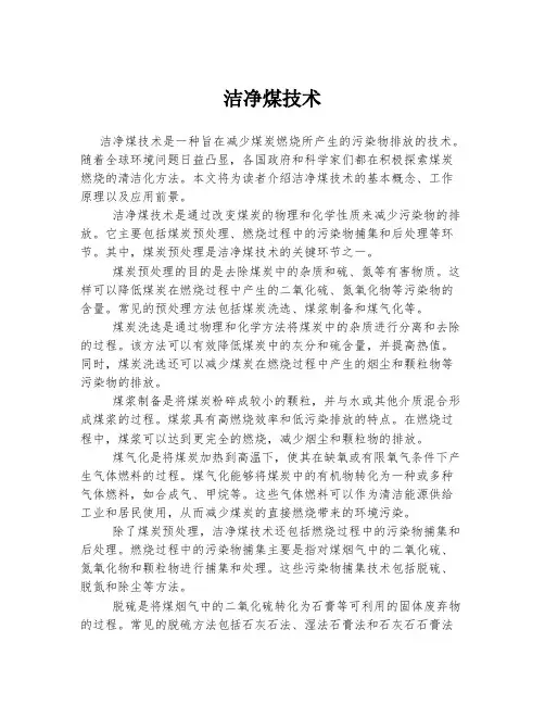 洁净煤技术