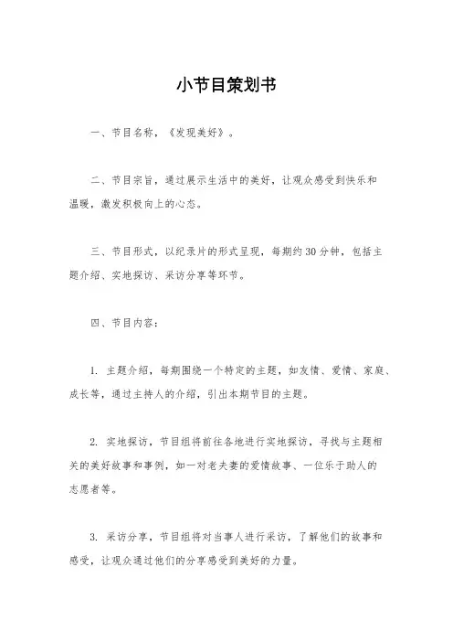 小节目策划书