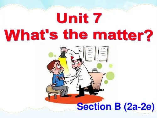 鲁教版七下Unit7 B(2a-2e)