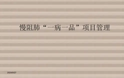 慢阻肺“一病一品”项目管理 PPT