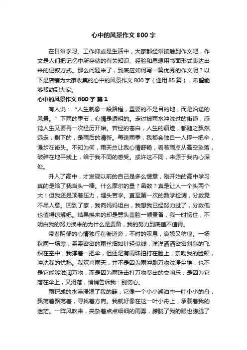 心中的风景作文800字